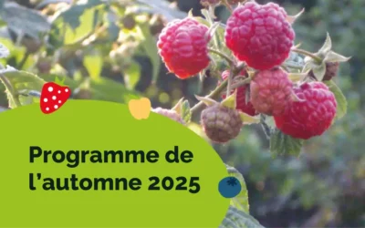 Programme automne 2025