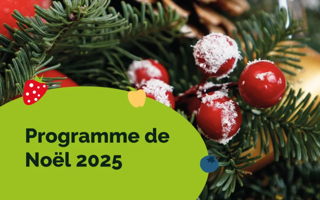 Programme noël 2025
