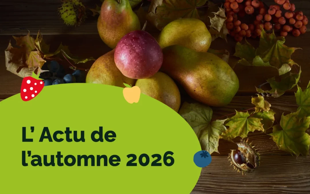 L&rsquo;actu de l&rsquo;automne 2026